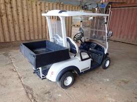 Greenman ST20M Golf Cart - picture2' - Click to enlarge