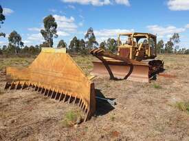  Dozer D5 with Rake - picture0' - Click to enlarge