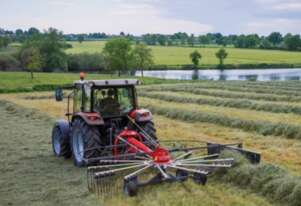 Massey Ferguson   RK341 RAKE