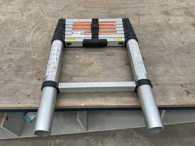 1x Extendable Ladder - picture0' - Click to enlarge