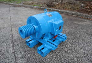 Cage Induction Motor 22 kW