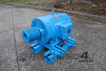 Cage Induction Motor 22 kW