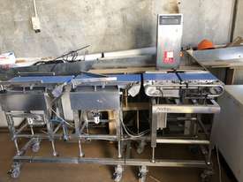 Check weigher/grading - picture0' - Click to enlarge
