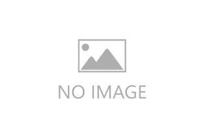 caption FBT 18 Container Mast Battery Electric