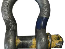 Bow D Shackle 3.2 Ton Crane Lifting & Rigging Equipment - picture0' - Click to enlarge