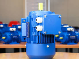 0.75kw/1HP 1400rpm 19mm shaft motor three-phase - picture0' - Click to enlarge