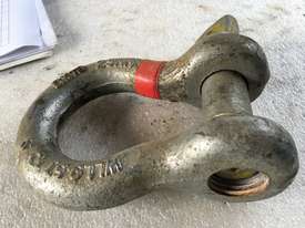 Bow D Shackle 9.5 ton AS approved 29mm pin - picture2' - Click to enlarge