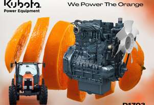 Kubota D1703   REPOWER ENGINE