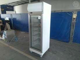 Bromic Display Freezer - picture0' - Click to enlarge