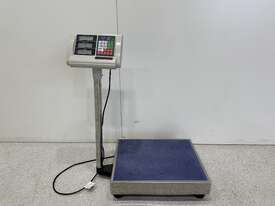 TCS System Electronic Floor Scales - picture0' - Click to enlarge