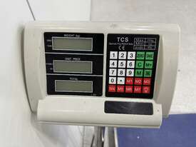 TCS System Electronic Floor Scales - picture0' - Click to enlarge
