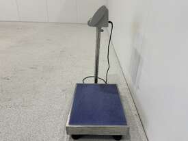 TCS System Electronic Floor Scales - picture1' - Click to enlarge