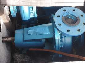 Centrifugal Water Pumps  - picture2' - Click to enlarge