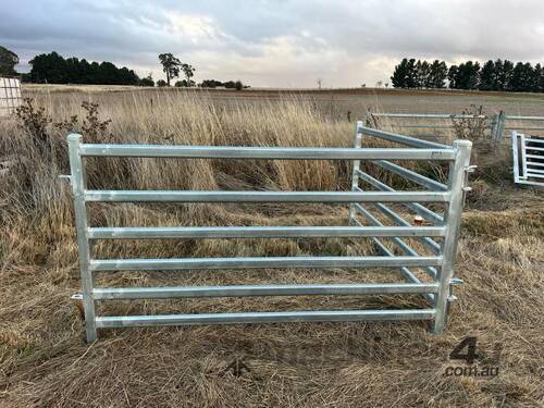 caption Sheep Panels x10