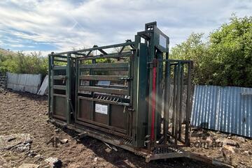 Highfield Cattle Crush