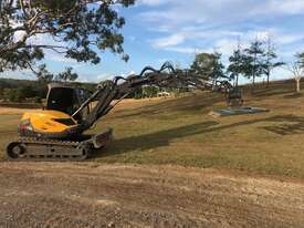 10T Excavator, Loader and Telehandler - picture2' - Click to enlarge