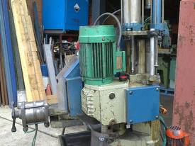 Cold saw pedrazoli Brown 300DS - picture0' - Click to enlarge