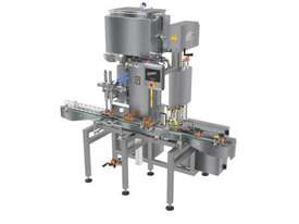 PVD M Automatic Liquid Filling Capping Line - picture0' - Click to enlarge