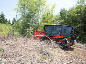 Prinoth Raptor 300 Tracked Forestry Mulcher - picture0' - Click to enlarge