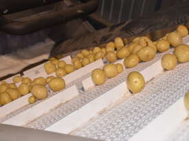 Wyma Hydro-Cooler for loose produce - picture1' - Click to enlarge
