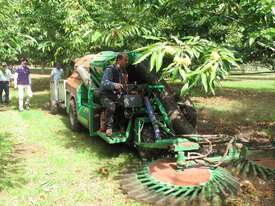 Facma C180S Self Propelled Nut Harvester - picture1' - Click to enlarge