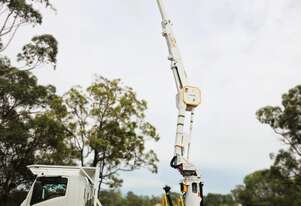 Arbor Spec Terex TL45 Insulated Truck Mounted EWP 15.6m