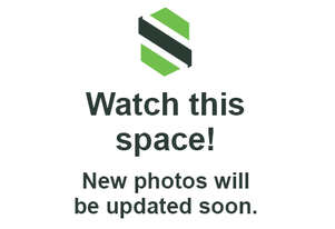 2024 Isuzu MU-X 4x2 LS-U Wagon T/Diesel (Auto) (Council Asset)