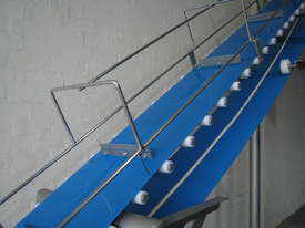 Stainless Steel Incline Conveyor - 2.9m high - picture1' - Click to enlarge