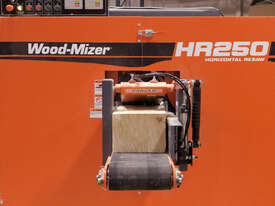 HR250 Super Resaw - picture1' - Click to enlarge