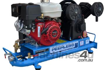 PEERLESS PV25 Belt Drive 2