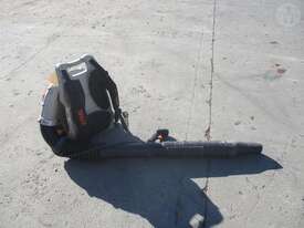 Stihl BR600 Backpack Blower - picture1' - Click to enlarge