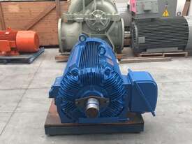 375 kw 500 hp 4 pole 1480 rpm 415 volt Foot Mount 355 frame Teco Mining IP66 AC Electric Motor - picture1' - Click to enlarge