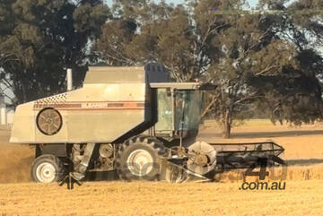 (8667) Gleaner R62 Combine Header (Moama, NSW)