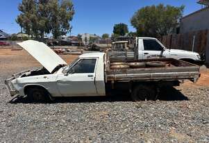 Holden Hoden HZ 1979 model