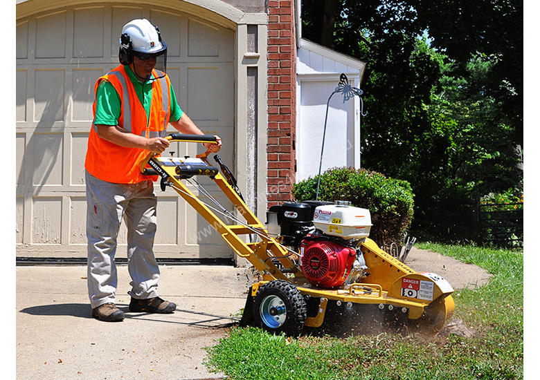 caption 2019 Rayco RG 13-II Stump Grinder