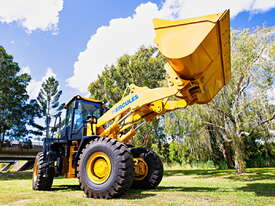 Hercules 668D Wheel Loader - picture1' - Click to enlarge