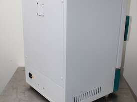 Economy Forced Air  Oven - picture2' - Click to enlarge