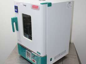 Economy Forced Air  Oven - picture10' - Click to enlarge