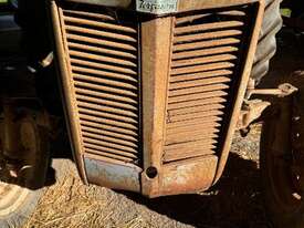 Ferguson Tractor - picture1' - Click to enlarge
