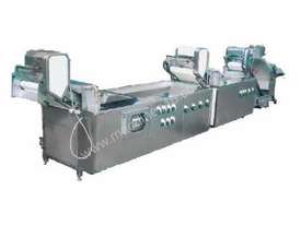 Vegetable Continuous Washer - picture0' - Click to enlarge