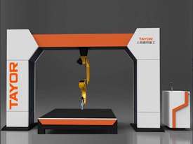 TAYOR TF 3D Robot Laser Cutting Machine - picture0' - Click to enlarge