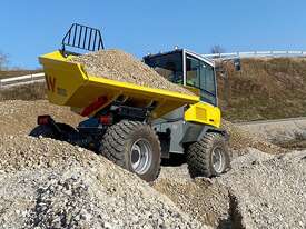 Dual View Dumper  - picture1' - Click to enlarge