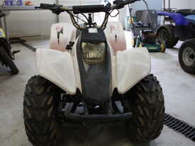 Small 4 wheeler - picture1' - Click to enlarge