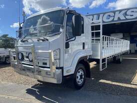 2012 Isuzu FRR 600 Long White Tray Truck 7.8l 4x2 - picture0' - Click to enlarge