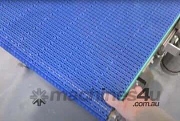 Custom Retractable Conveyors