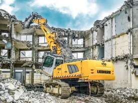 R 950 Demolition Litronic - picture0' - Click to enlarge