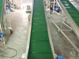 Incline Conveyor: Brand New, Ready for Delivery! - picture0' - Click to enlarge