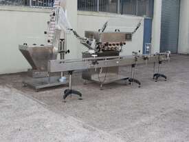 Inline Automatic Capper with Elevator Hopper Feeder & Conveyor - picture16' - Click to enlarge