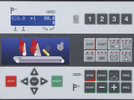 SCM Groups DMC SD60 Wide Belt Paint Sanding Machine - picture1' - Click to enlarge