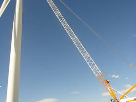 Zoomlion QUY260 Crawler Crane - picture0' - Click to enlarge